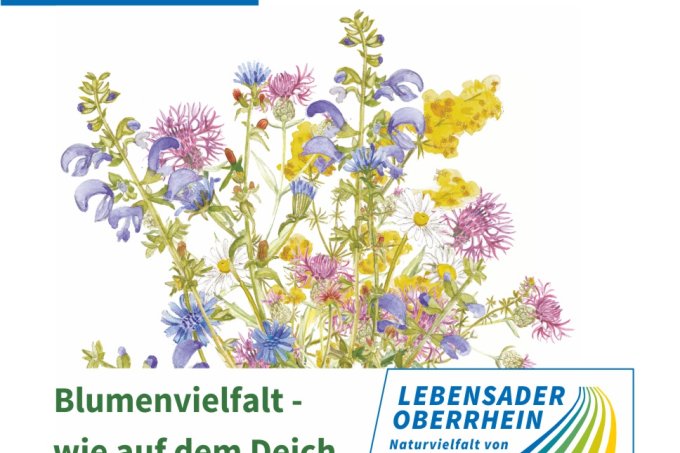 Samentüte - Pflanzengrafik: Gisela Spahlinger