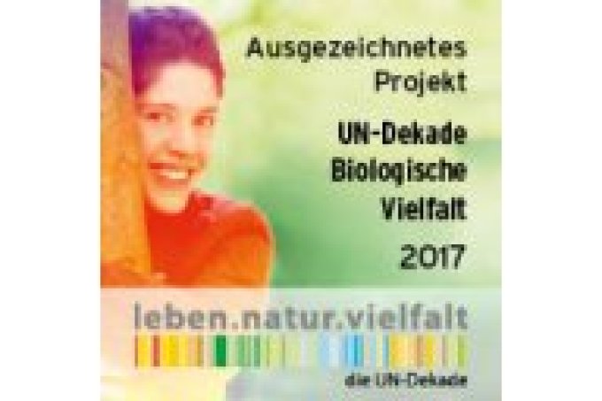 UN-Dekae_Logo_Ausgezeichnetes_Projekt-2017