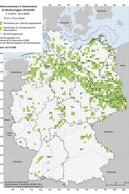 Deutschlandkarte Wolfsvorkommen im Monitoringjahr 2019/2020 (BfN)