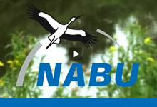 NABU-Imagefilm zeigt schützenswerte Natur und den NABU in Aktion