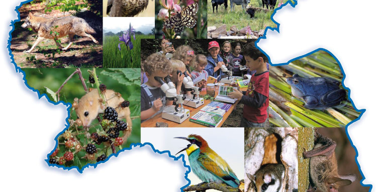 Naturschutz in RLP Titelblatt