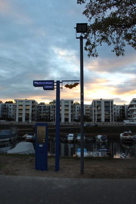 Der blaue Fledermausdetektor steht vor der Kulisse des Mainzer Winterhafens im abendlichen Zwielicht