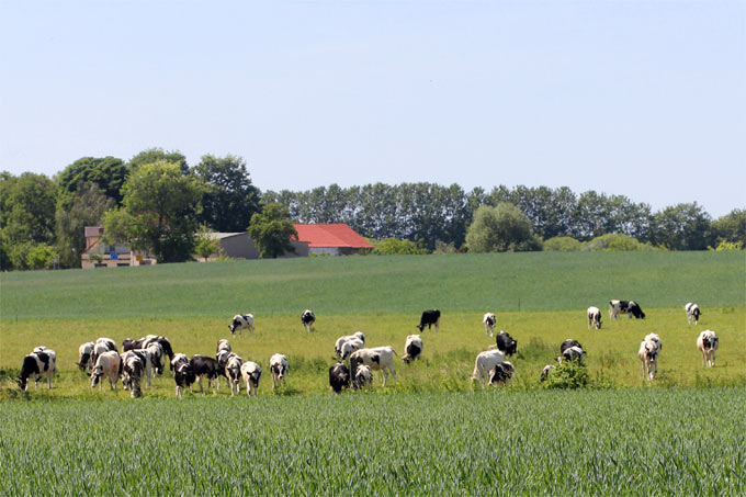 Landwirtschaft in Rheinland-Pfalz