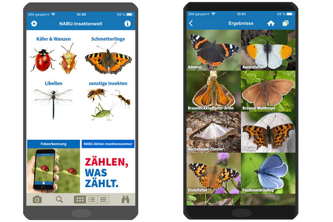 NABU-App "Insektenwelt"