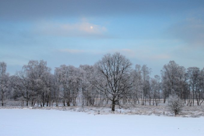 Winter - Foto: Thomas von Appen