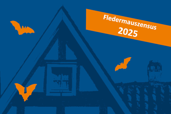 Fledermauszensus 2025